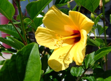 DSCF0238