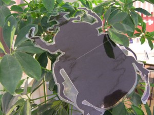 DSCF0272