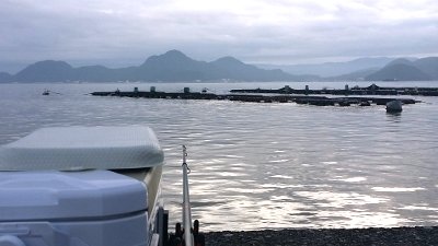 20170818_063115 (400x225)