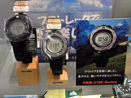 RIMG0006 (450x338)