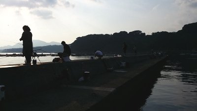 20170830_065010 (400x225)