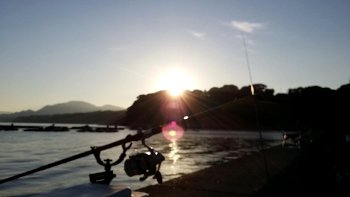 20171102_064422 (350x197)