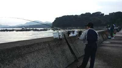 20171115_072802 (400x225)