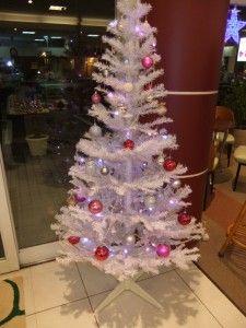DSCF0325