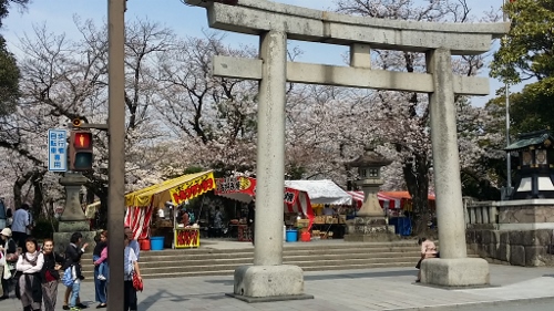 20180327_121916 (500x281)