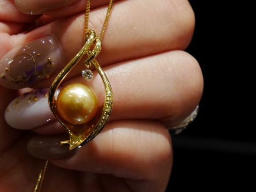 P1160604 (500x375)