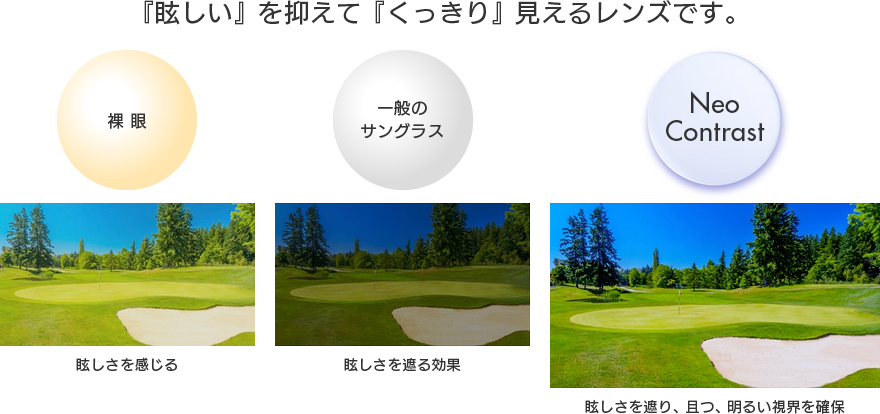 ネオコントラスト