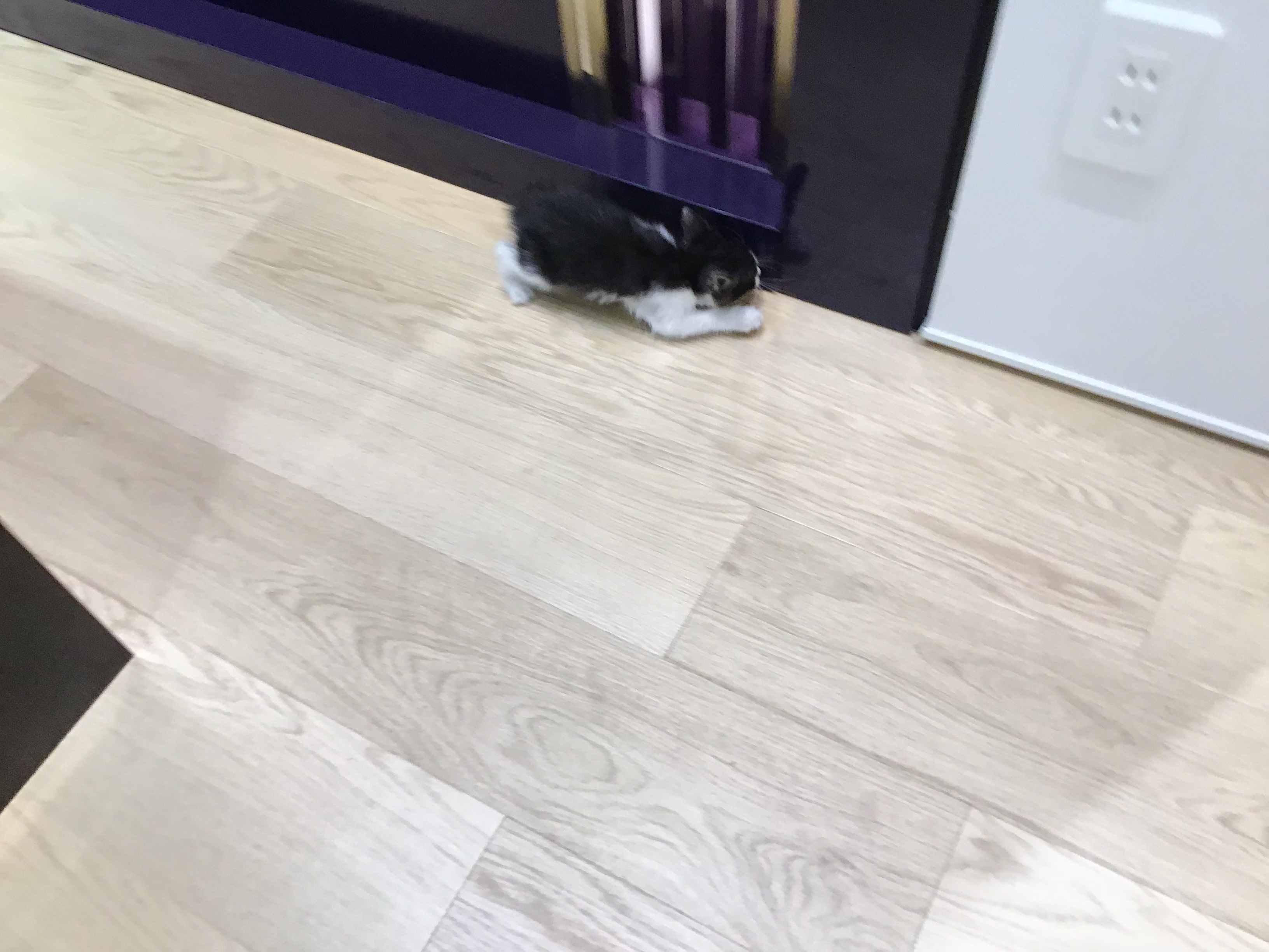 image1