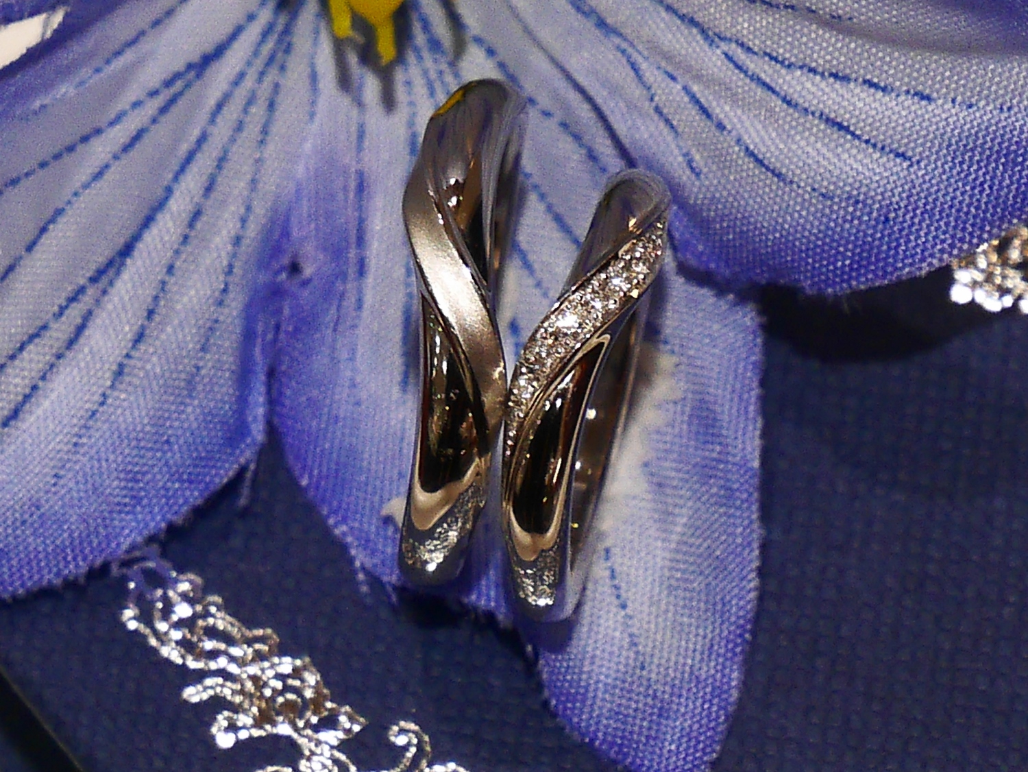 P1200048 (1500x1126)