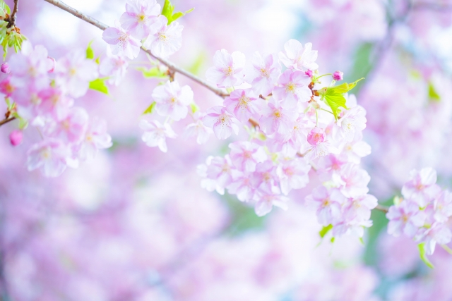 1d81595a0fcc0e52decc4e0d1f1e48bd_s