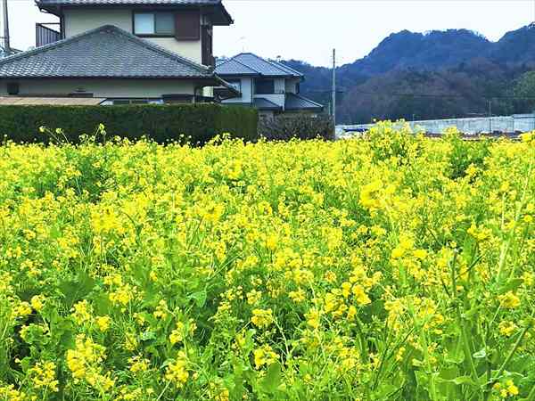 写真 2020-01-26 12 50 47_R